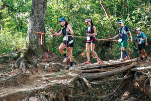 BIB: 
                            <button type="button" onclick="openModal(27554394)" class="btn btn-primary btn-sm float-right btn-popup" data-toggle="modal" data-target=".modal-high-quality">
                        <i class="fas fa-shopping-cart"></i> Add to Cart
                    </button>
                                            <button type="button" onclick="isThisMe(27554394, true)" class="btn btn-success btn-sm float-right btn-popup btn-isme hidden" data-toggle="tooltip" data-placement="bottom" title="นี่คือรูปของคุณใช่ไหม คลิกที่นี่เพื่อเอาเข้าอัลบั้ม">
                        <i class="fas fa-plus"></i> Add to album
                    </button>
                    <button type="button" onclick="isThisMe(27554394, false)" class="btn btn-warning btn-sm float-right btn-popup btn-isnotme hidden">
                        <i class="fas fa-ban"></i> Remove from album
                    </button>